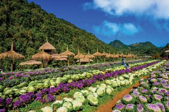 INTHANON NATIONAL PARK