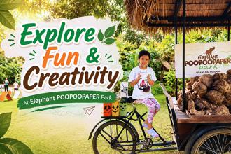 FUN & CREATIVITY