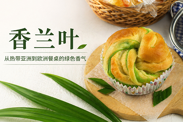 香兰叶：从热带亚洲到欧洲餐桌的绿色香气