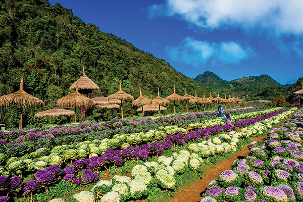 INTHANON NATIONAL PARK