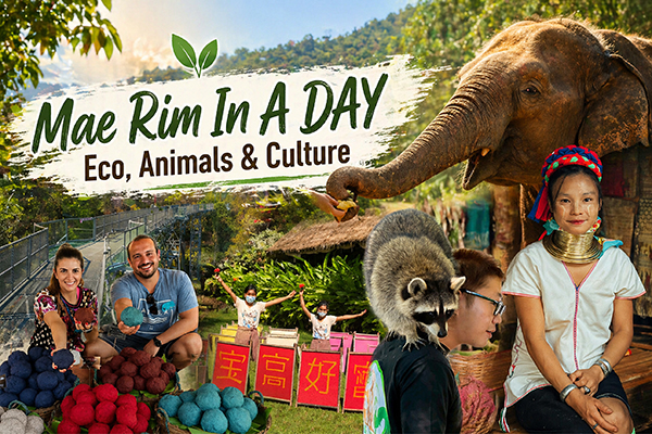 MAE RIM IN A DAY