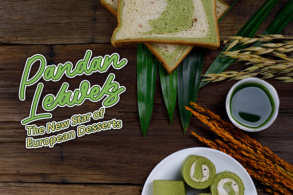 PANDAN LEAVES
