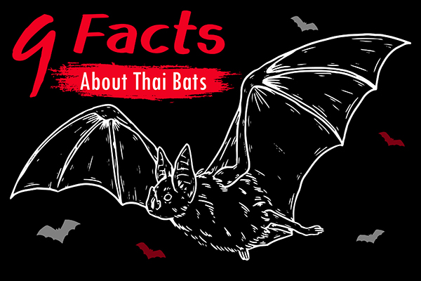 9 FACTS