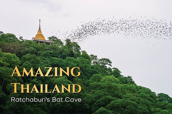 AMAZING THAILAND