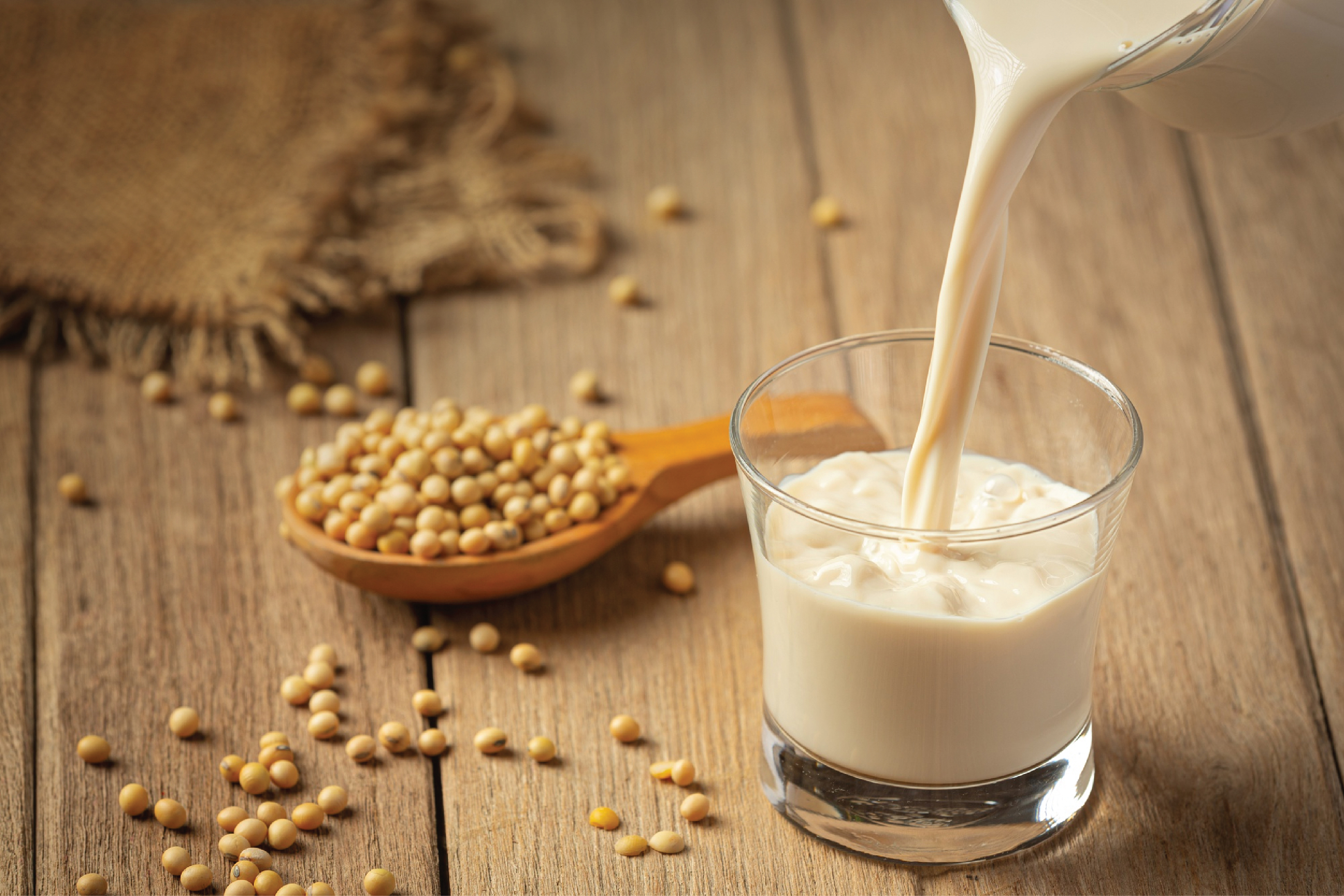 Le lait de Soja