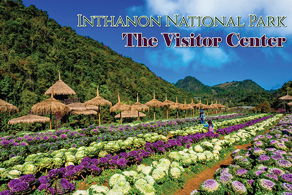 INTHANON NATIONAL PARK