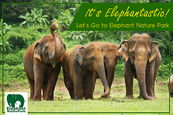 It’s Elephantastic!