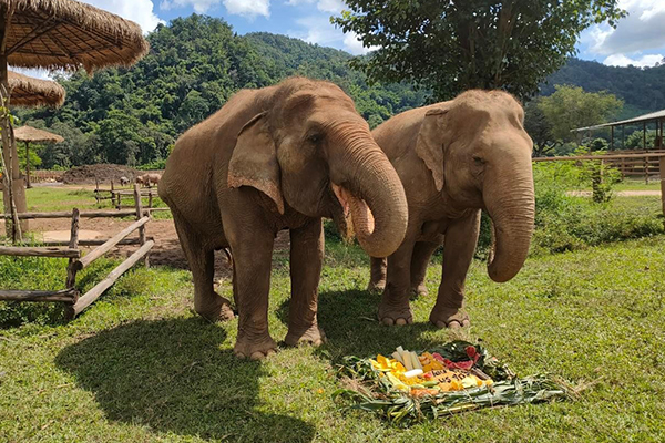 ฉลองวันพิเศษของคุณ