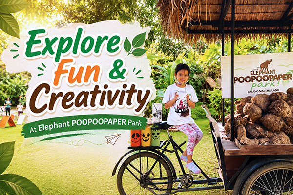 FUN & CREATIVITY