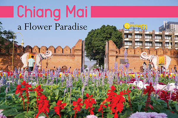 CHIANG MAI